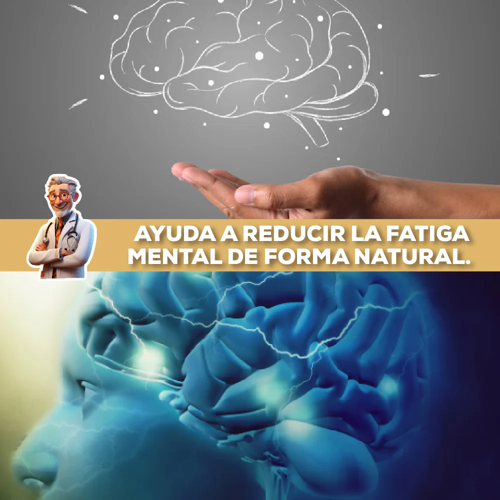 Melena de Leon Vitalcognition® - Image 3