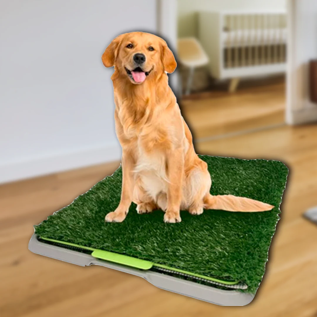 TAPETE MASCOTA ByePis | Tu mascota aprendera a ir al baño - Image 2